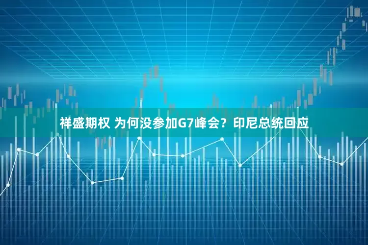 祥盛期权 为何没参加G7峰会？印尼总统回应